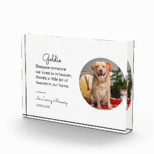 Bloc Photo Pet Memorial Portrait Cadeau chat perte Sympathie