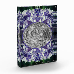 Bloc Photo Pétales Blue Hydrangea Ajouter Votre Propre