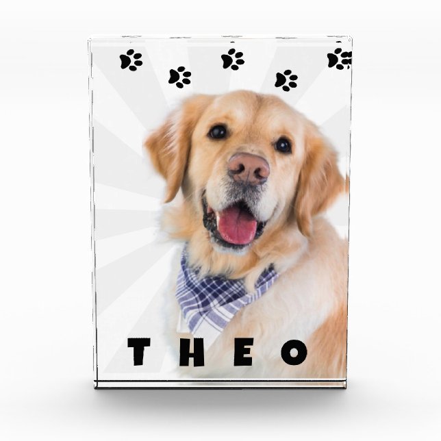 Bloc Photo Photo Block Pet dog cat name  (Devant)
