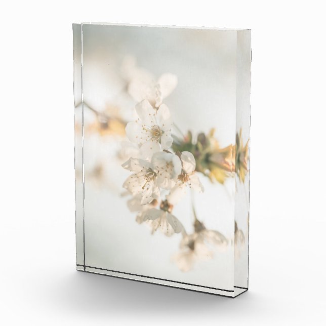 Bloc Photo Photo Cherry Nature (Droite)