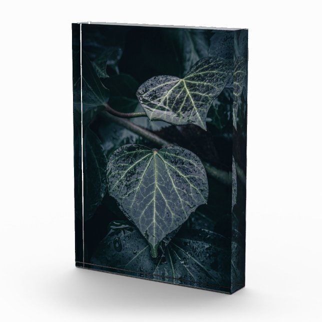 Bloc Photo Photo Dark Ivy Nature (Droite)