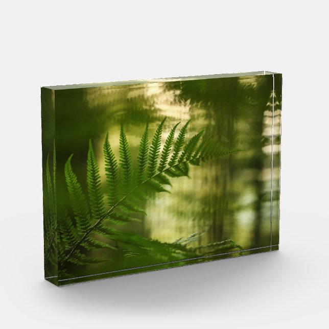 Bloc Photo Photo de Fern Nature (Gauche)