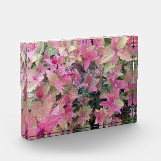 Bloc Photo Photo de fleurs