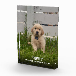 Bloc Photo Photo de mon chien