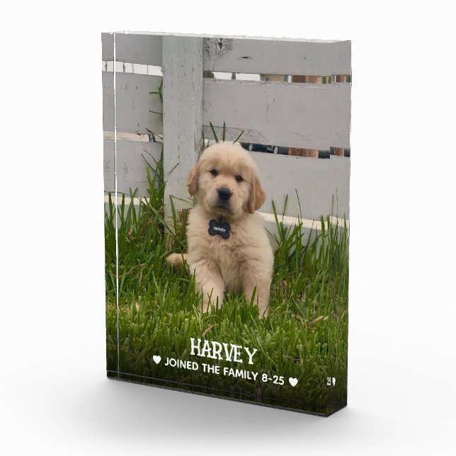 Bloc Photo Photo de mon chien (Droite)