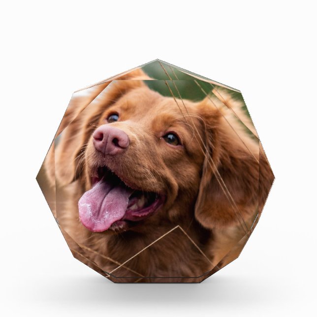 Bloc Photo Photo personnalisée Animaux de compagnie Bloc phot (Devant)