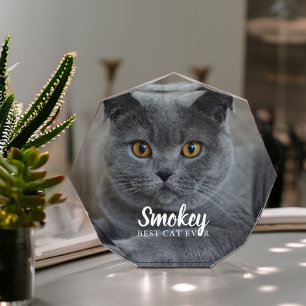 Bloc Photo Photo personnalisée pour animal de compagnie