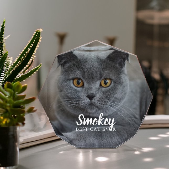 Bloc Photo Photo personnalisée pour animal de compagnie (Créateur téléchargé)