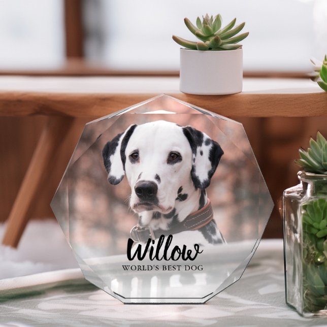 Bloc Photo Photo personnalisée pour animal de compagnie (Créateur téléchargé)