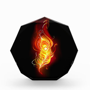 Bloc Photo Plume de paon de feu