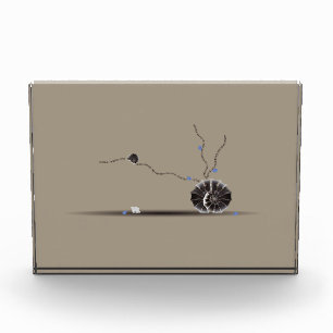 Bloc Photo Poème de jardin de coquillages rare et sophistiqué