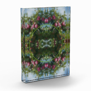 Bloc Photo Pommes Rouges Sur Le Cadre De Peinture D'Arbre Ajo