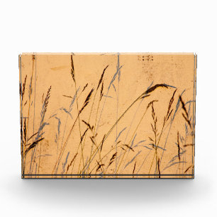 Bloc Photo Poster Acrylique Carte Postale Grasses Et Ombres D