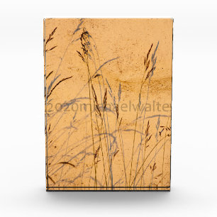Bloc Photo Poster Acrylique Carte Postale Grasses Et Ombres D