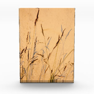 Bloc Photo Poster Acrylique Carte Postale Grasses Et Ombres D