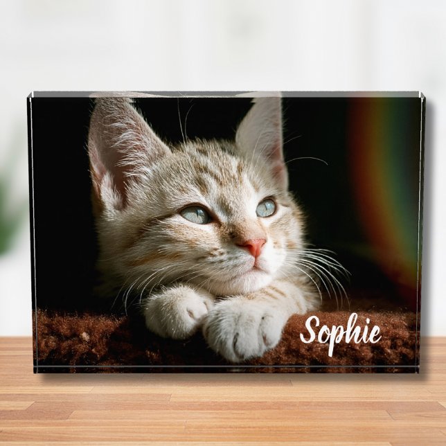 Bloc photo pour animaux (Pet Photo Block)