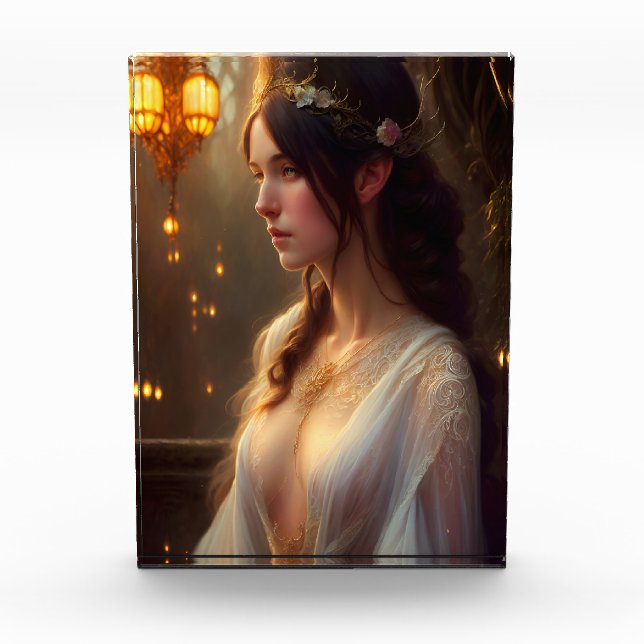 Bloc Photo Princesse elfe en dentelle blanche (Devant)