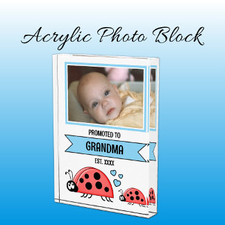 Bloc Photo Promoted to grandma ladybugs blue