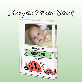 Bloc Photo Promoted to grandma ladybugs green