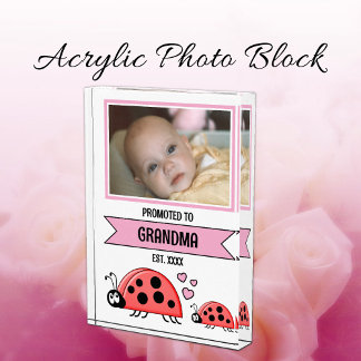 Bloc Photo Promoted to grandma ladybugs pink