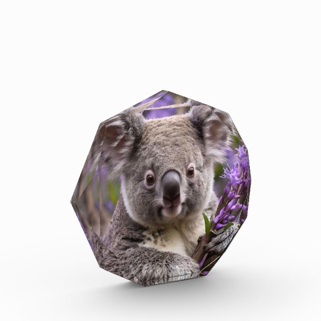 Bloc Photo Purple Jacaranda Koala Ours, (Gauche)