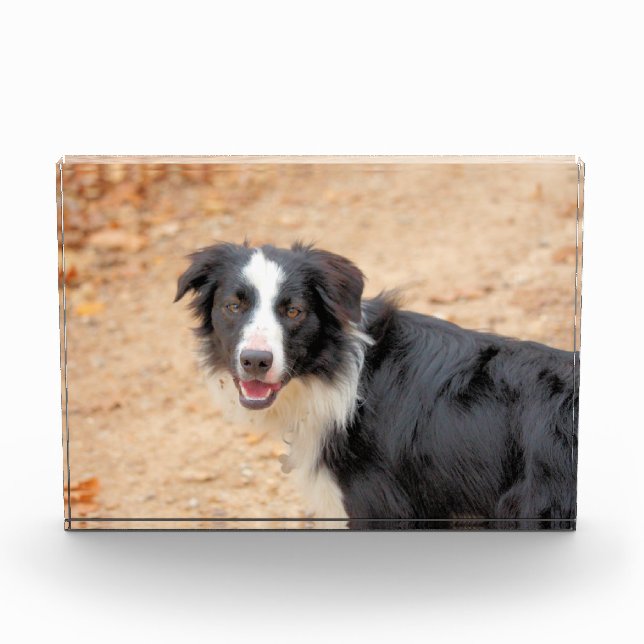 Bloc Photo Renene (Devant)