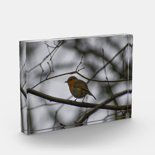 Bloc Photo Robin  (Gauche)