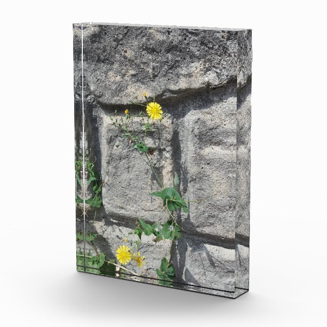 Bloc Photo Rocher sur la fleur (Droite)