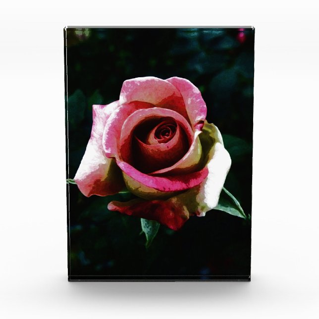 Bloc Photo rose  (Devant)