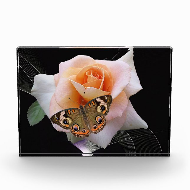 Bloc Photo Rose et papillon (Devant)