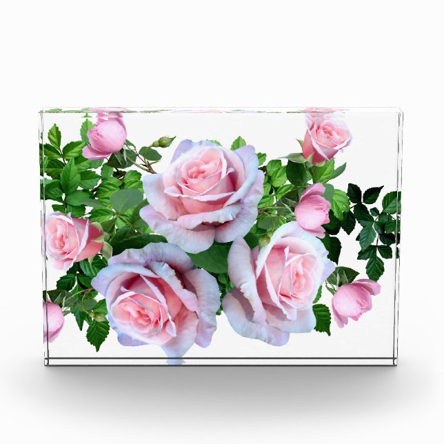 Bloc Photo Rose rose (Devant)
