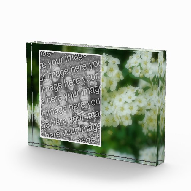 Bloc Photo Roses Blanches Sauvages Roulantes Ajoutez-Vous Vos (Droite)