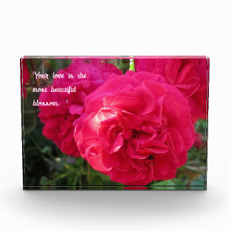 Bloc Photo Roses roses chauds - Fête des mères personnalisée