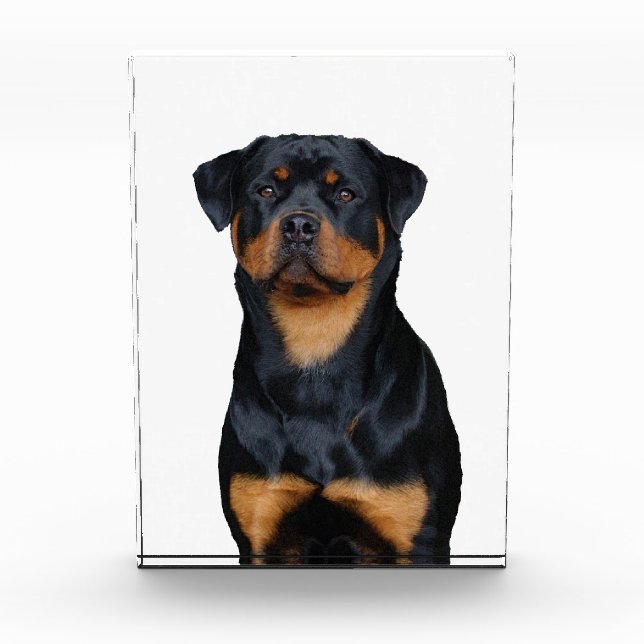 Bloc Photo Rottweiler   (Devant)