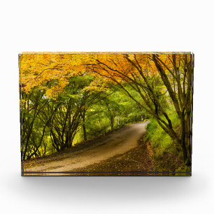 Bloc Photo Route de la campagne à l'automne