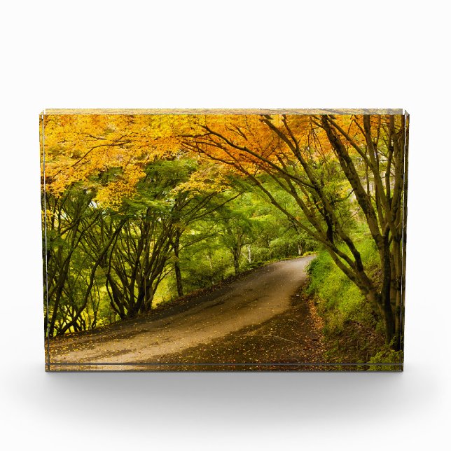 Bloc Photo Route de la campagne à l'automne (Devant)