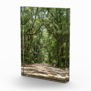 Bloc Photo Route Vers Angel Oak