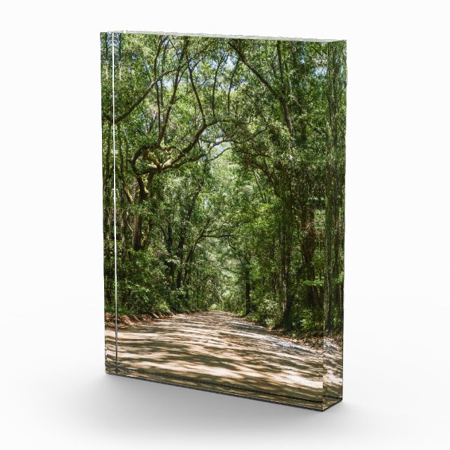 Bloc Photo Route Vers Angel Oak (Droite)
