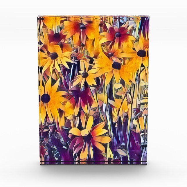 BLOC PHOTO RUDBECKIAS (Devant)