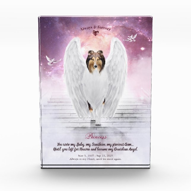 Bloc Photo Sable Rough Collie Angel dans le ciel - Pet Memori (Devant)
