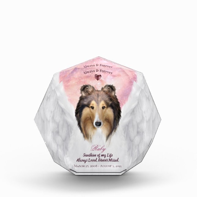 Bloc Photo Sable Rough Collie Angel Portrait - Pet Memorial (Devant)