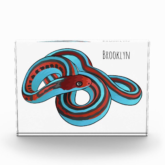 Bloc Photo San Francisco garter snake (Devant)