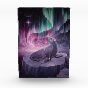 Bloc Photo Sceau solitaire triste