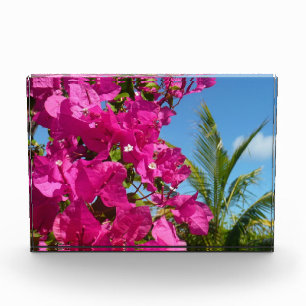 Bloc Photo Scène naturelle tropicale de bougainvillée et de p