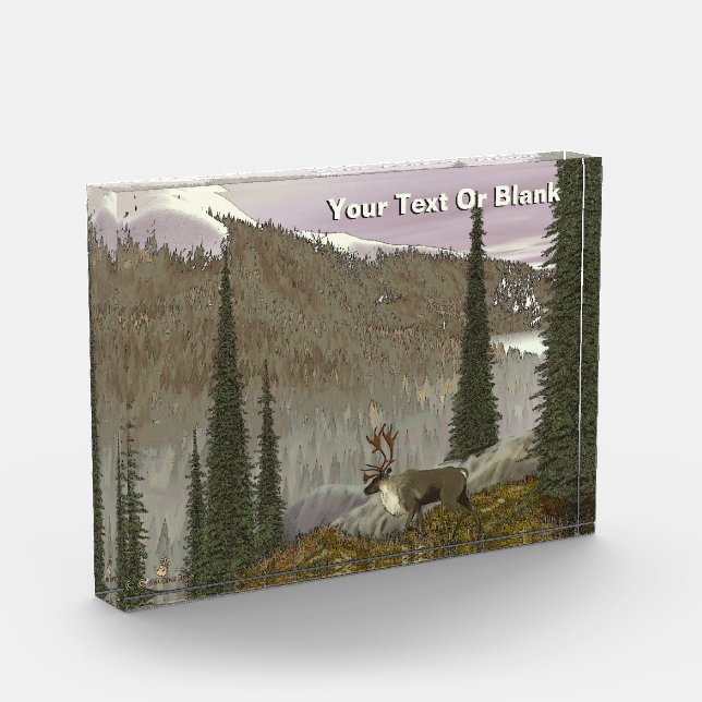 Bloc Photo Selkirk Caribou (Gauche)
