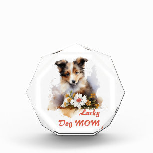 Bloc Photo Shetland Sheepdog Chiot Pet Aquarelle