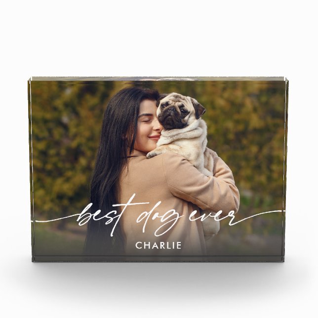 Bloc Photo Simple Meilleur Chien Photo Moderne Script (Devant)
