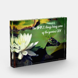 Bloc Photo Simple Thèmes Frog Citation Inspirationnelle