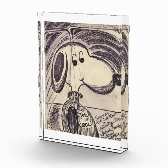 BLOC PHOTO #SNOOPY AKA #JOECOOL (Droite)