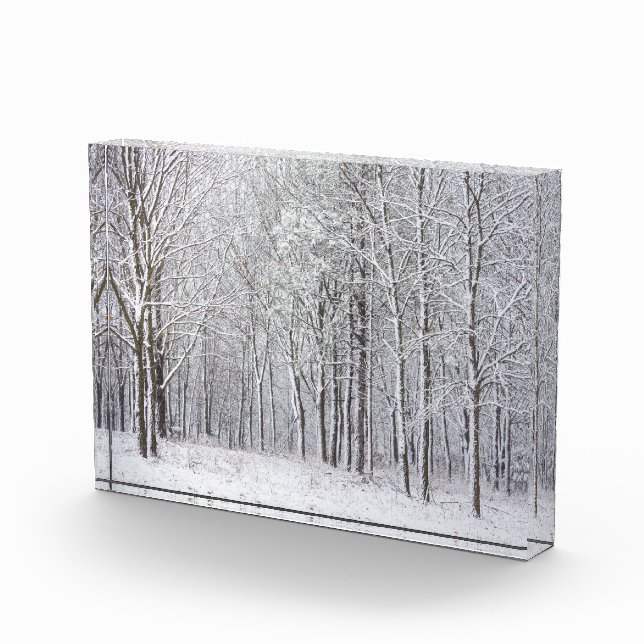Bloc Photo Snowy Woods (Droite)